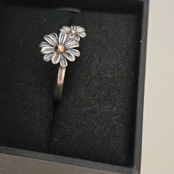 James Avery Blooming daisies ring
Sterling Silver 925/bronze
Like New,Size 7.5
I - Picture 4 of 7